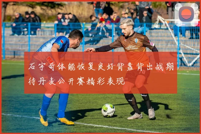 石宇奇体能恢复良好背靠背出战期待丹麦公开赛精彩表现
